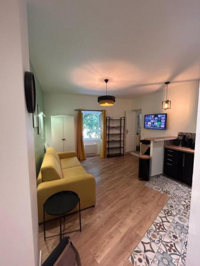 Superbe Studio climatisé près de la villa Noailles